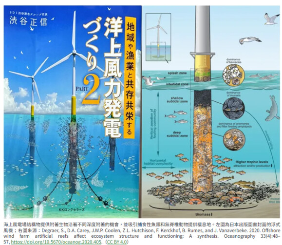 離岸風機已成為魚類的新家