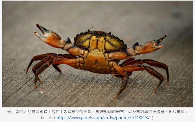 海廢變黃金！難以溶解的幾丁質，如何變身成天然且萬用的高值材料？