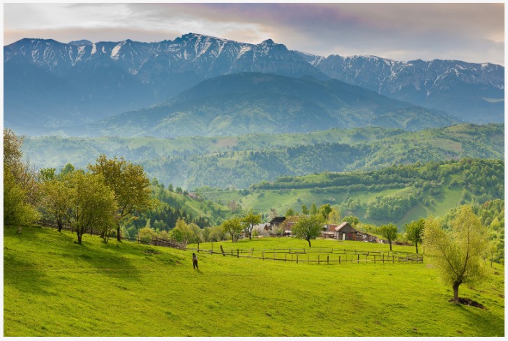 經濟增長與碳排的世紀大脫鉤：從羅馬尼亞、埃及到台灣的轉型路徑